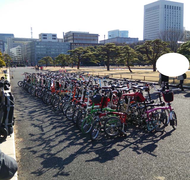 Brompton in Palace No18