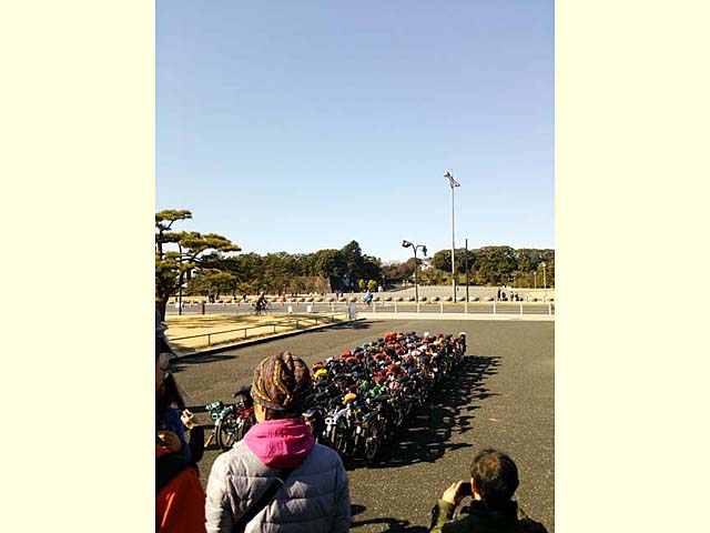 Brompton in Palace No18