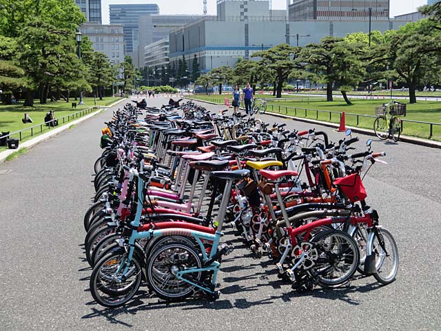 Brompton in Palace No20