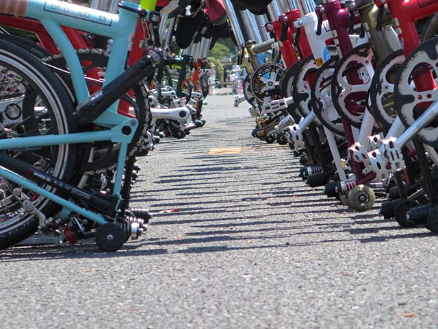 Brompton in Palace No20