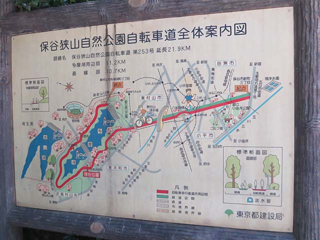 多摩湖サイクリングロード