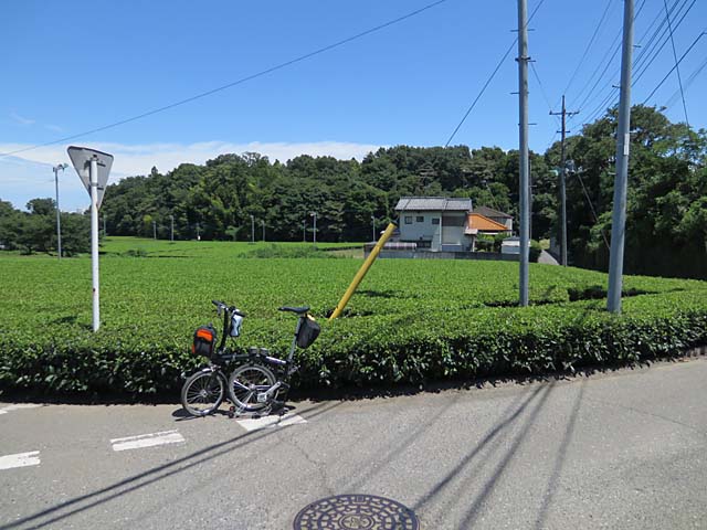 多摩湖サイクリングロード