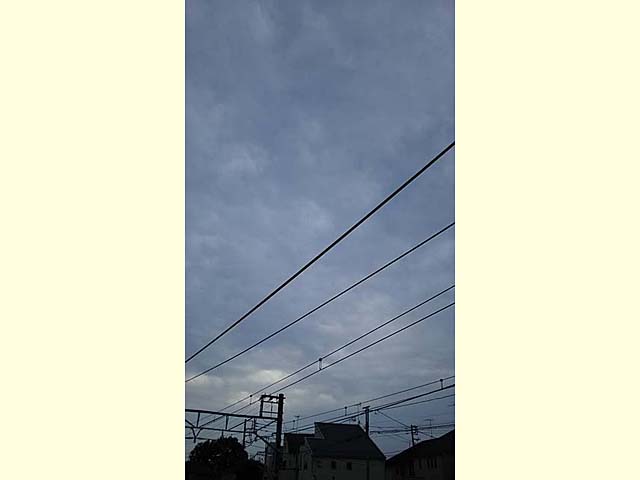 サイクルロケイニング東京