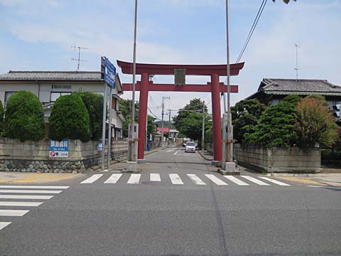 うなぎぽた
