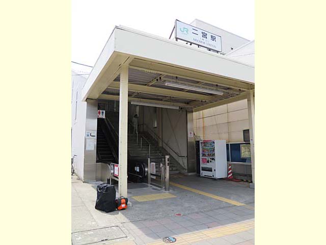 うなぎぽた