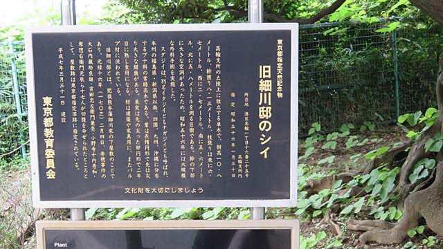 チェックポイント