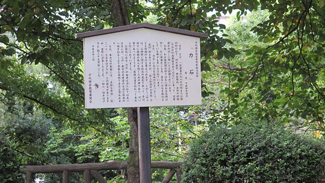 チェックポイント